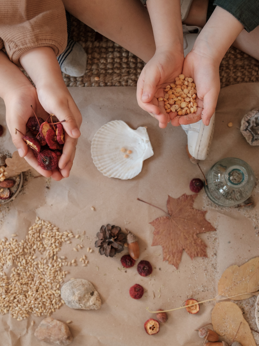 Children's hands holding seeds, leaves, shells, and other natural elements on a beige floor.