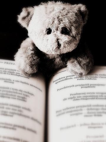 A well-loved teddy bear enjoys a good book.