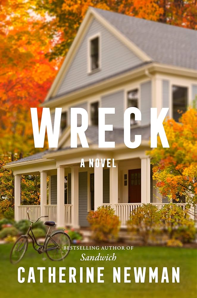 Wreck book cover