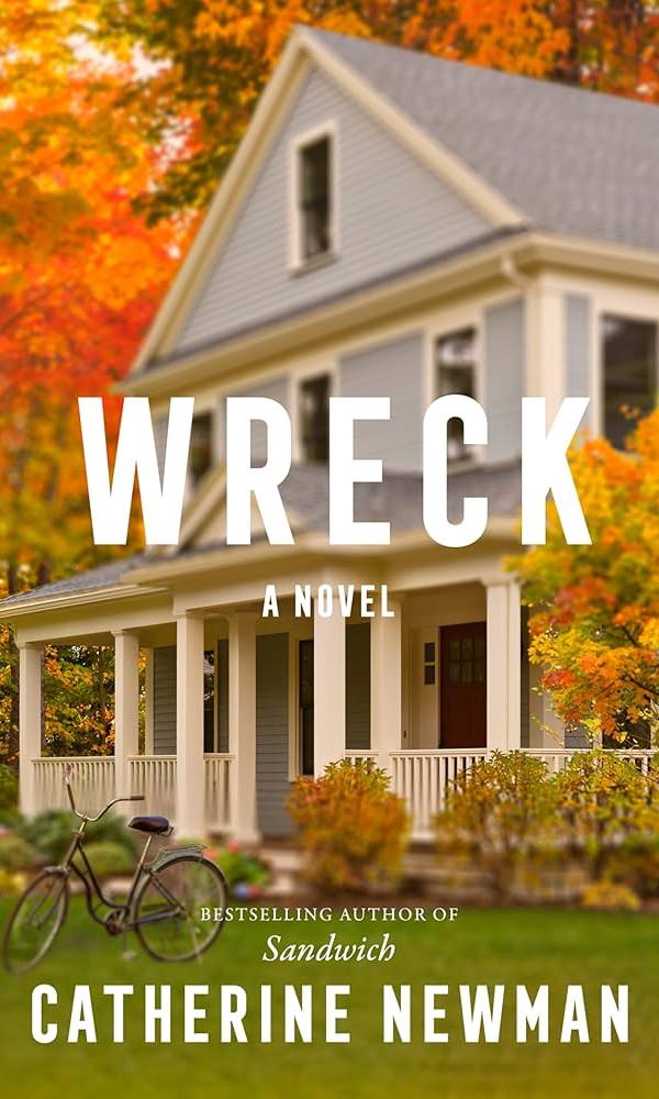 Wreck book cover