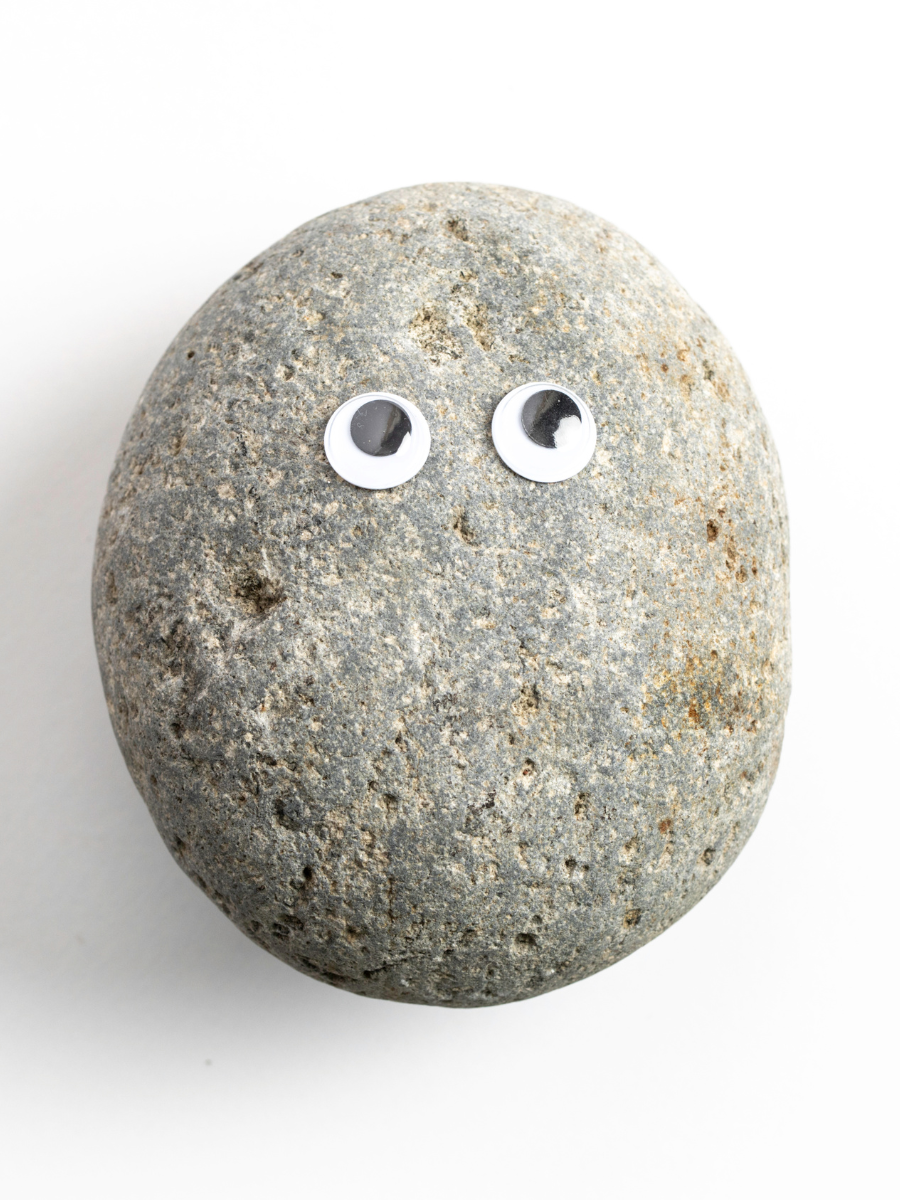 rock with googly eyes on it