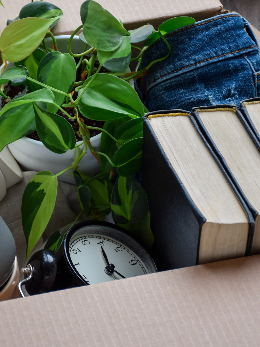 cardboard box packed with books, clothing, a plant, and a clock